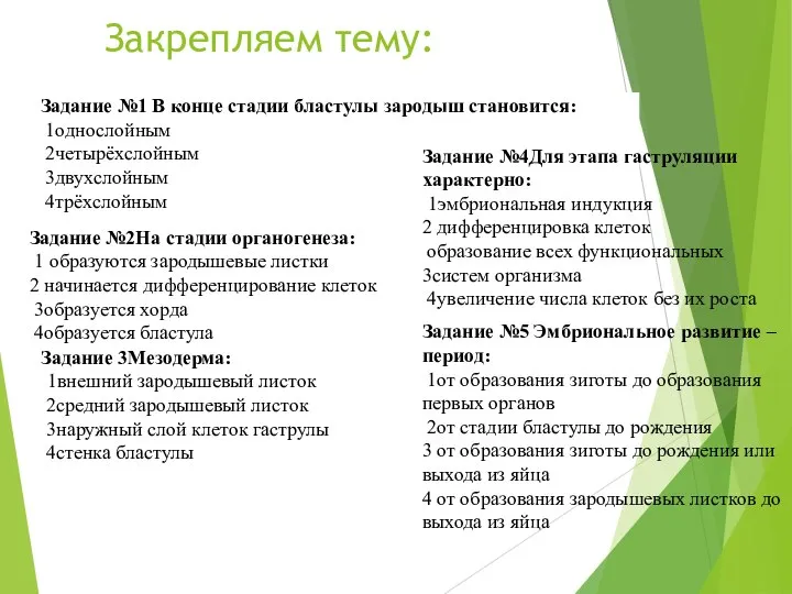 Закрепляем тему: Задание №1 В конце стадии бластулы зародыш становится: 1однослойным