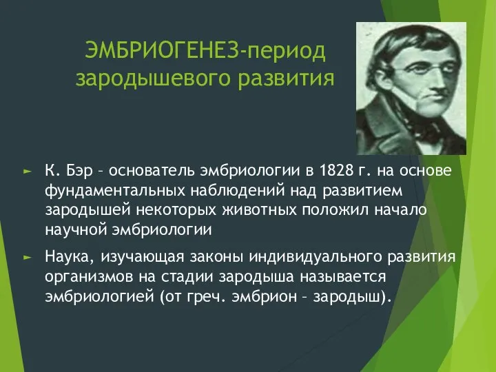 ЭМБРИОГЕНЕЗ-период зародышевого развития К. Бэр – основатель эмбриологии в 1828 г.