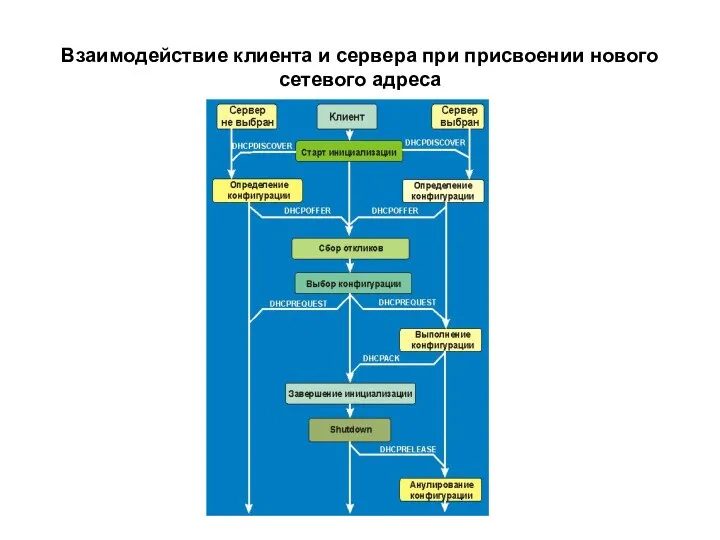 Взаимодействие клиента и сервера при присвоении нового сетевого адреса