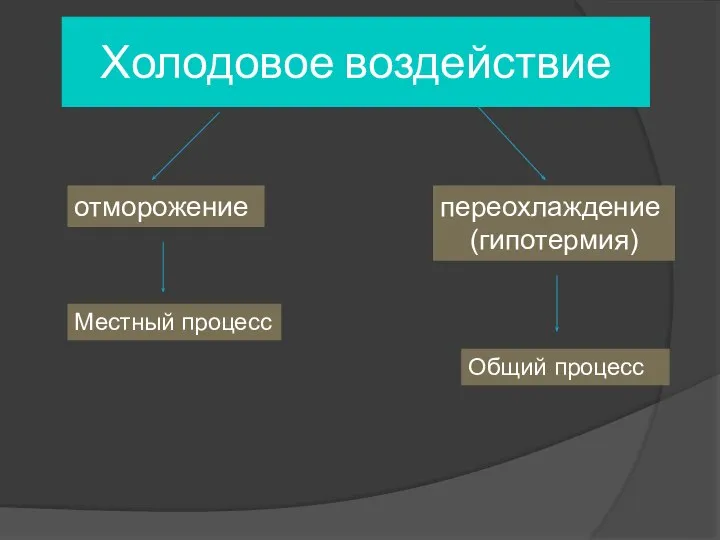 Холодовое воздействие отморожение переохлаждение (гипотермия) Местный процесс Общий процесс