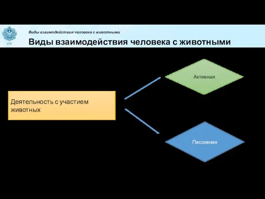 Виды взаимодействия человека с животными Виды взаимодействия человека с животными Деятельность с участием животных Активная Пассивная