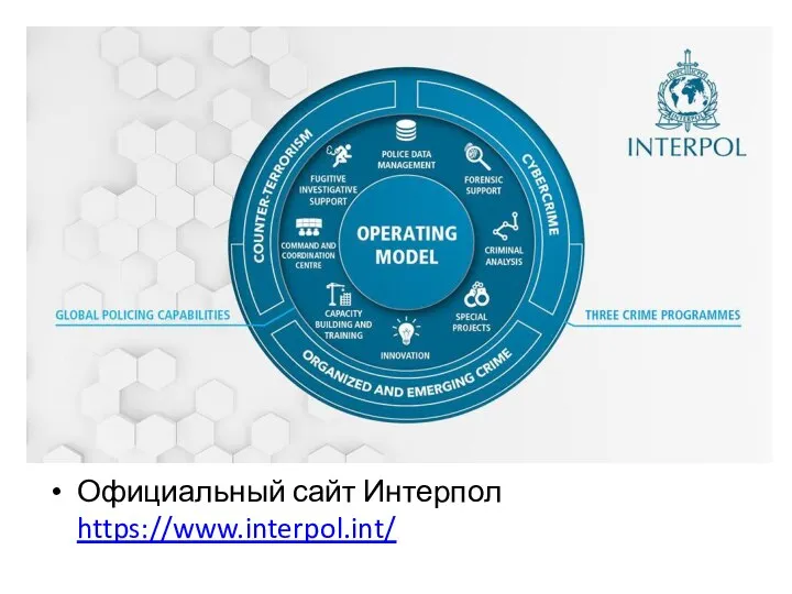 Официальный сайт Интерпол https://www.interpol.int/