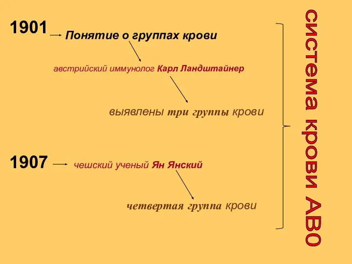 1901 1907 Понятие о группах крови австрийский иммунолог Карл Ландштайнер выявлены