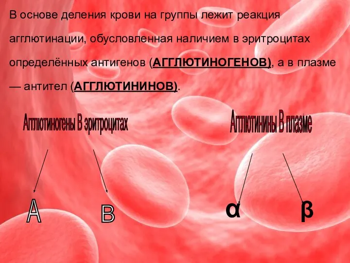 В основе деления крови на группы лежит реакция агглютинации, обусловленная наличием