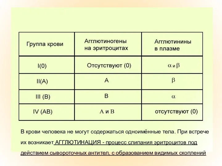 Основоположниками учения о группах крови были К.Ландштейнер и Ян Янский. Последний