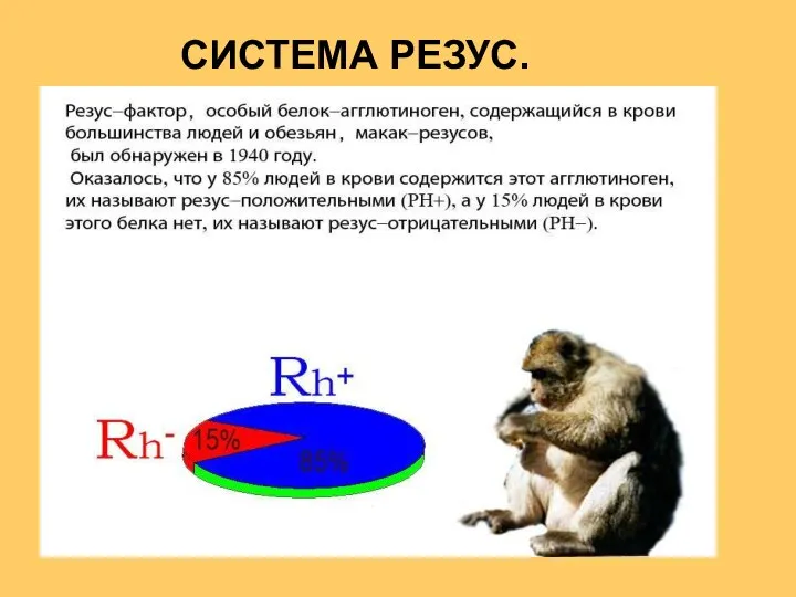 СИСТЕМА РЕЗУС.