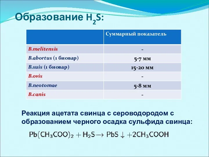 Образование H2S: Реакция ацетата свинца с сероводородом с образованием черного осадка сульфида свинца: