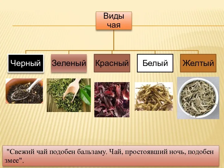 "Свежий чай подобен бальзаму. Чай, простоявший ночь, подобен змее".