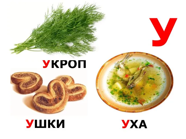 У УКРОП УШКИ УХА