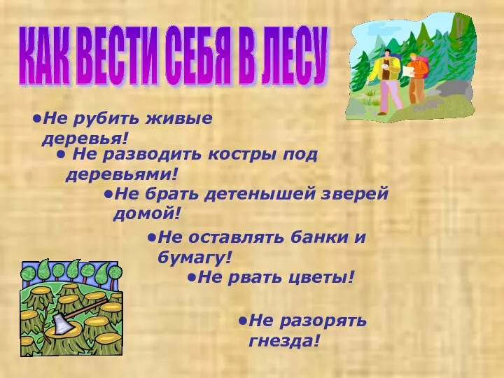 КАК ВЕСТИ СЕБЯ В ЛЕСУ Не рубить живые деревья! Не разводить