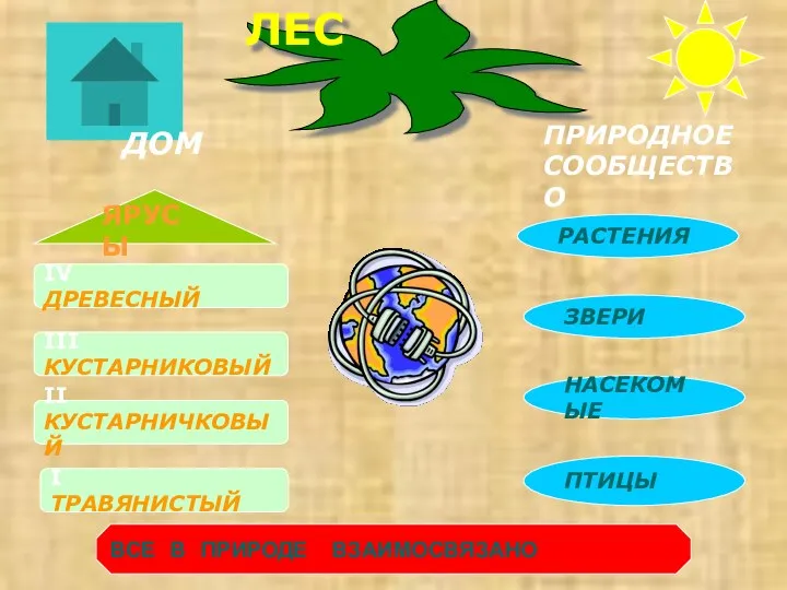 ЛЕС ДОМ ПРИРОДНОЕ СООБЩЕСТВО IV ДРЕВЕСНЫЙ I ТРАВЯНИСТЫЙ II КУСТАРНИЧКОВЫЙ III