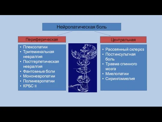 Нейропатическая боль Центральная Периферическая Рассеянный склероз Постинсультная боль Травма спинного мозга