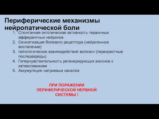 Периферические механизмы нейропатической боли ПРИ ПОРАЖЕНИИ ПЕРИФЕРИЧЕСКОЙ НЕРВНОЙ СИСТЕМЫ ! Спонтанная