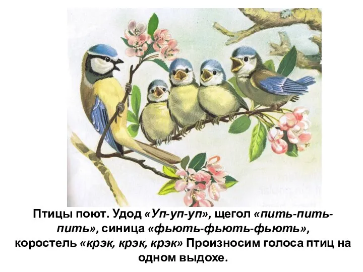 Птицы поют. Удод «Уп-уп-уп», щегол «пить-пить-пить», синица «фьють-фьють-фьють», коростель «крэк, крэк,