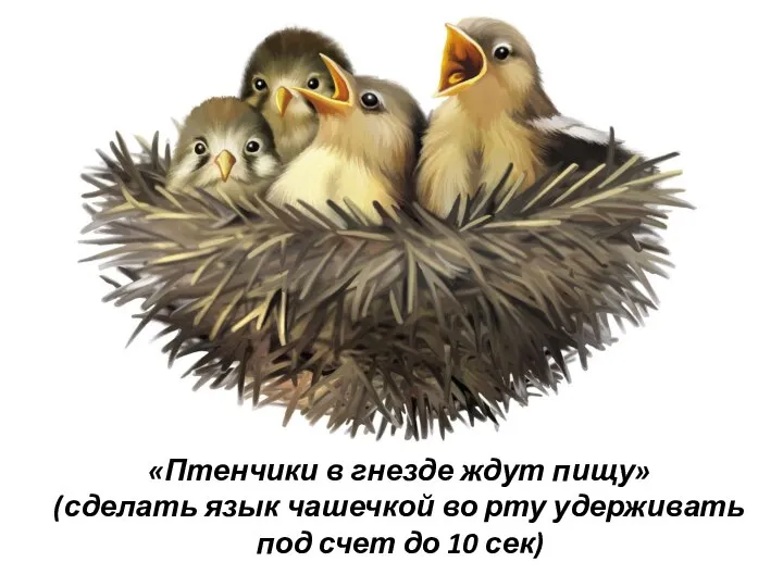 «Птенчики в гнезде ждут пищу» (сделать язык чашечкой во рту удерживать под счет до 10 сек)