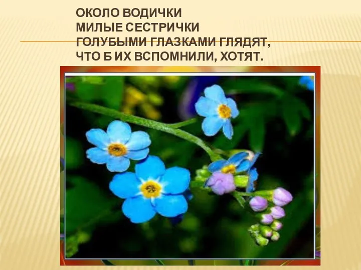 ОКОЛО ВОДИЧКИ МИЛЫЕ СЕСТРИЧКИ ГОЛУБЫМИ ГЛАЗКАМИ ГЛЯДЯТ, ЧТО Б ИХ ВСПОМНИЛИ, ХОТЯТ.