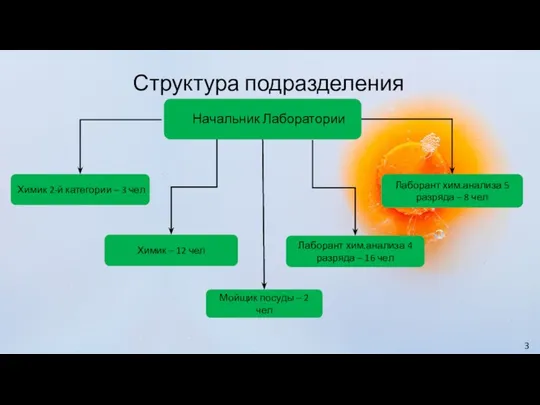 Структура подразделения Начальник Лаборатории Химик 2-й категории – 3 чел Химик