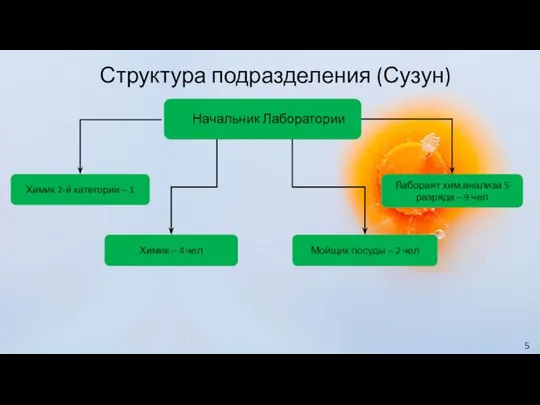 Структура подразделения (Сузун) Начальник Лаборатории Химик 2-й категории – 1 Химик