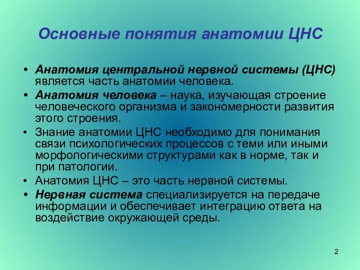 Основные понятия анатомии ЦНС Анатомия центральной нервной системы (ЦНС) является часть