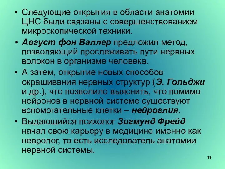 Следующие открытия в области анатомии ЦНС были связаны с совершенствованием микроскопической