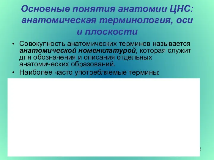 Основные понятия анатомии ЦНС: анатомическая терминология, оси и плоскости Совокупность анатомических