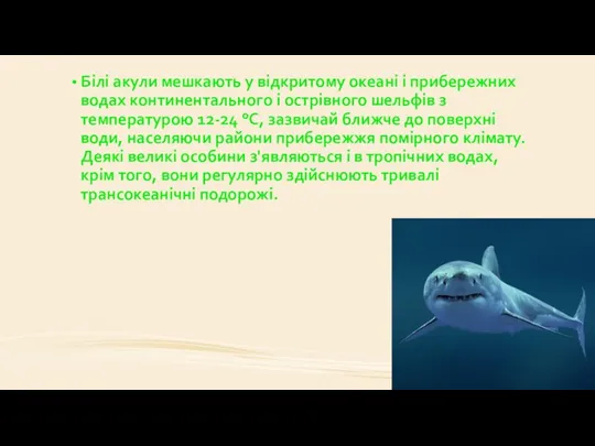 Білі акули мешкають у відкритому океані і прибережних водах континентального і