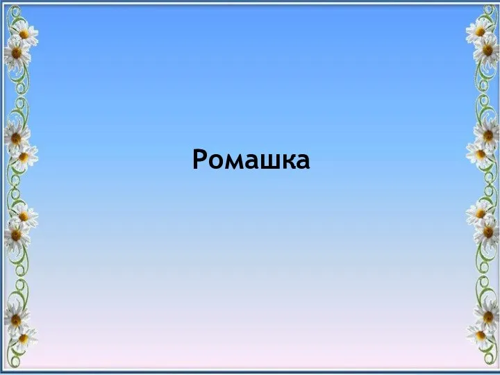 Ромашка