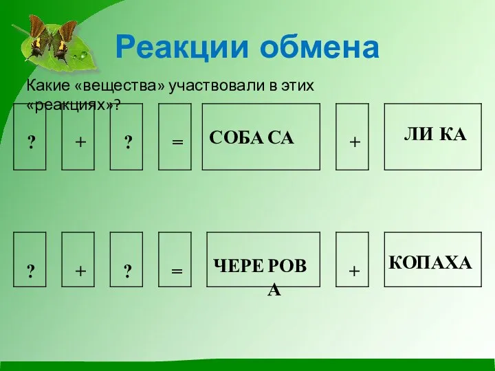 Реакции обмена Какие «вещества» участвовали в этих «реакциях»? СОБА СА ЛИ КА ЧЕРЕ РОВА КО ПАХА