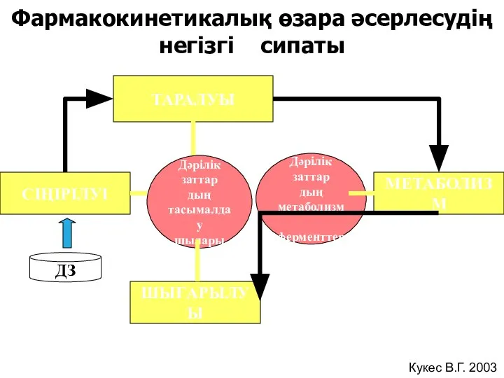 СІҢІРІЛУІ ТАРАЛУЫ МЕТАБОЛИЗМ ШЫҒАРЫЛУЫ Дәрілік заттар дың тасымалдау шылары Дәрілік заттар