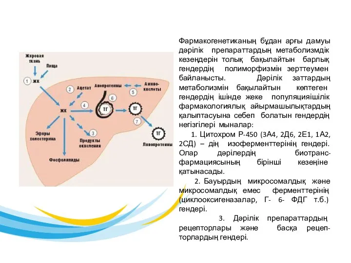 Фармакогенетиканың бұдан арғы дамуы дәрілік препараттардың метаболизмдік кезеңдерін толық бақылайтын барлық