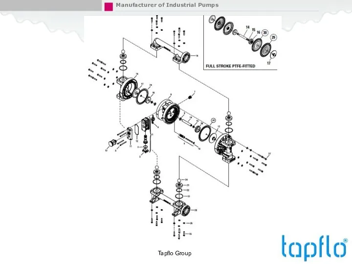 Tapflo Group