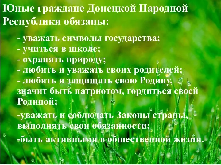 Юные граждане Донецкой Народной Республики обязаны: - - уважать символы государства;