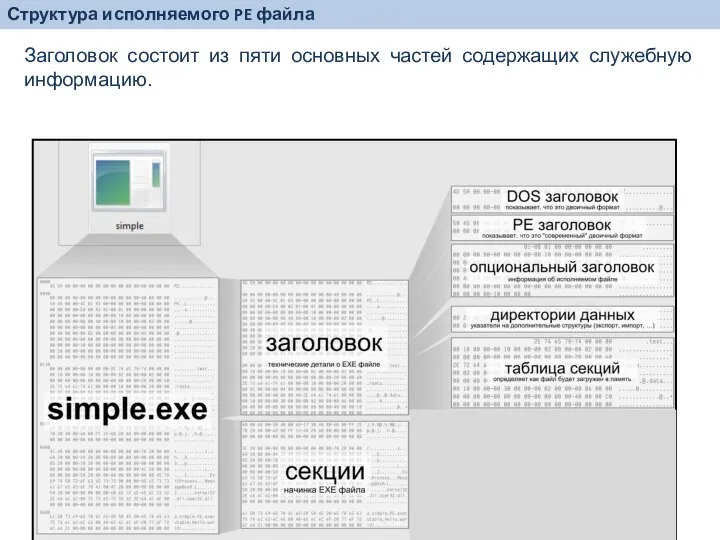 Заголовок состоит из пяти основных частей содержащих служебную информацию. Структура исполняемого PE файла