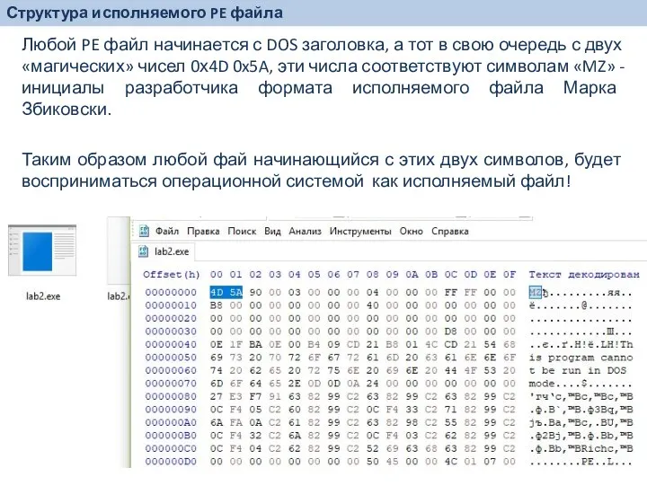 Любой PE файл начинается с DOS заголовка, а тот в свою