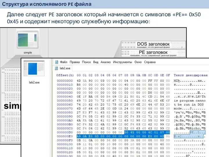 Далее следует PE заголовок который начинается с символов «PE»= 0х50 0х45