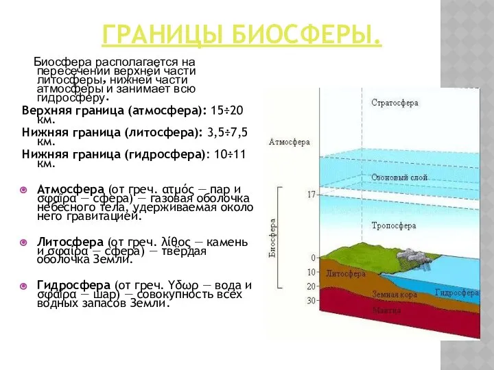 ГРАНИЦЫ БИОСФЕРЫ. Биосфера располагается на пересечении верхней части литосферы, нижней части