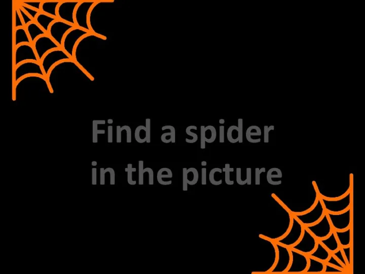 Find a spider in the picture