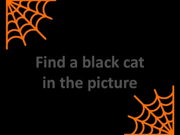 Find a black cat in the picture