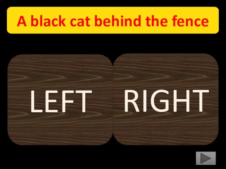 A black cat behind the fence LEFT RIGHT