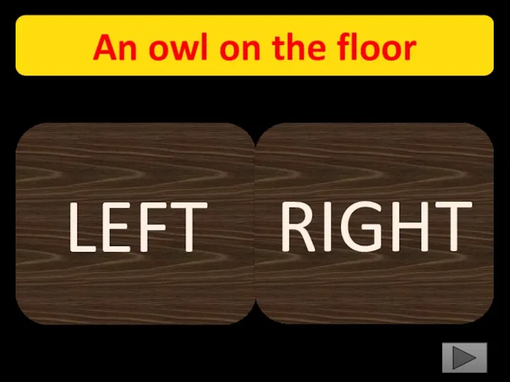 An owl on the floor LEFT RIGHT