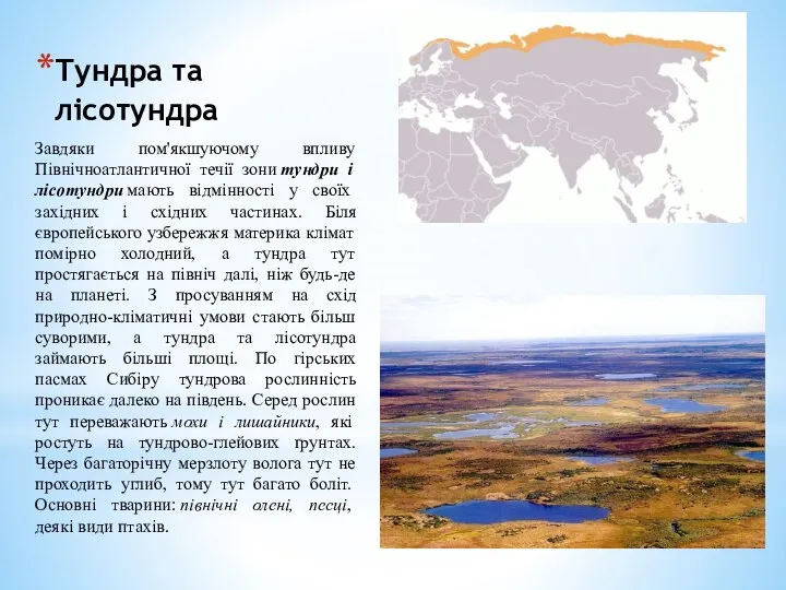 Тундра та лісотундра Завдяки пом'якшуючому впливу Північноатлантичної течії зони тундри і