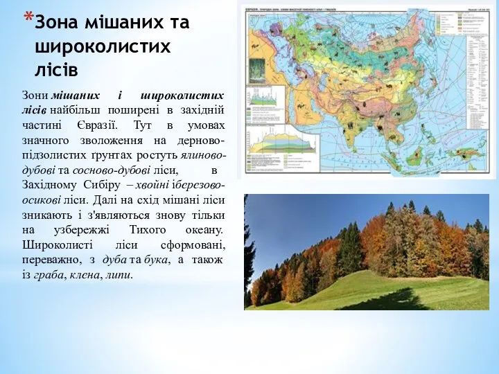 Зона мішаних та широколистих лісів Зони мішаних і широколистих лісів найбільш