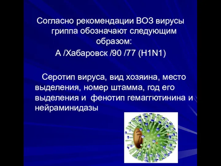 Согласно рекомендации ВОЗ вирусы гриппа обозначают следующим образом: А /Хабаровск /90