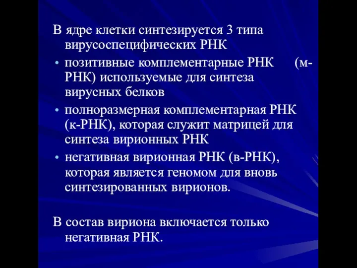 В ядре клетки синтезируется 3 типа вирусоспецифических РНК позитивные комплементарные РНК