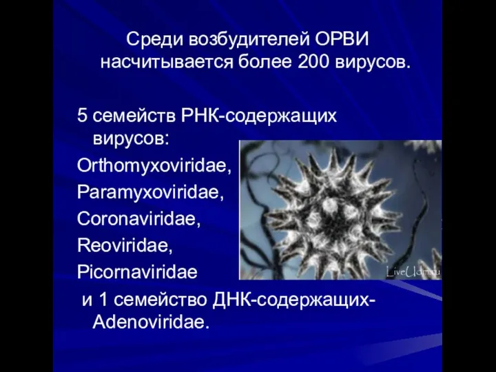 Среди возбудителей ОРВИ насчитывается более 200 вирусов. 5 семейств РНК-содержащих вирусов: