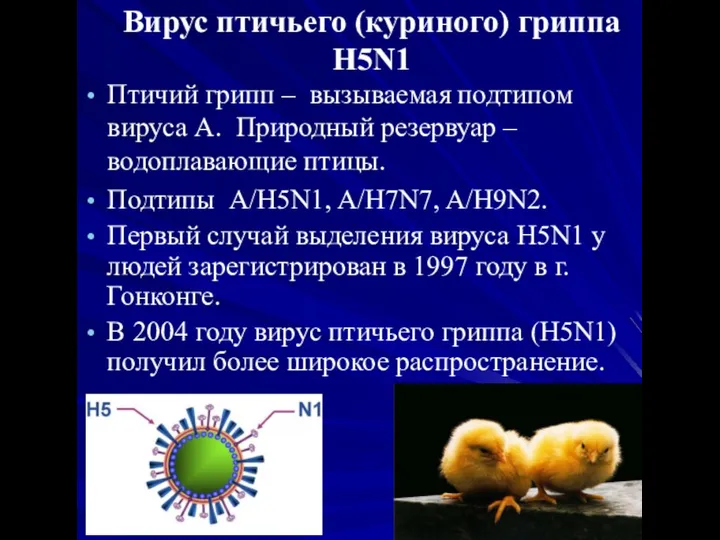 Вирус птичьего (куриного) гриппа H5N1 Птичий грипп – вызываемая подтипом вируса