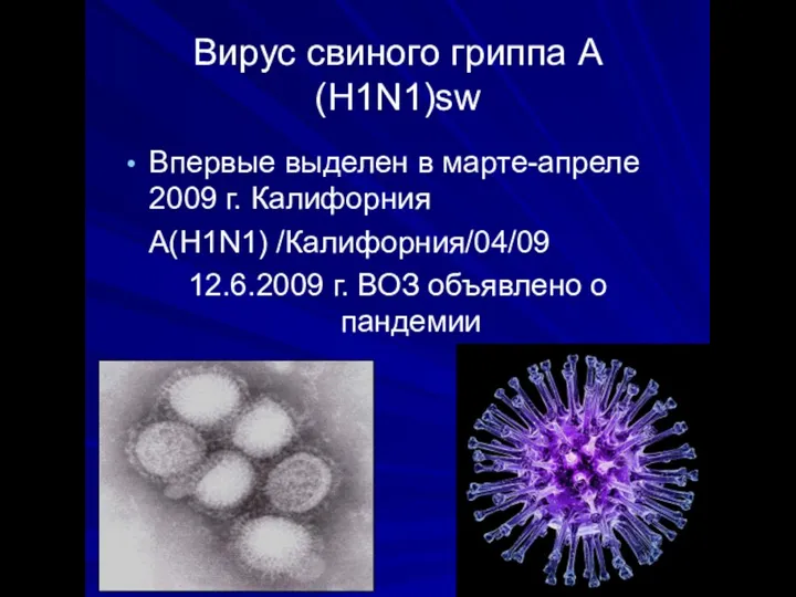 Вирус свиного гриппа А(Н1N1)sw Впервые выделен в марте-апреле 2009 г. Калифорния