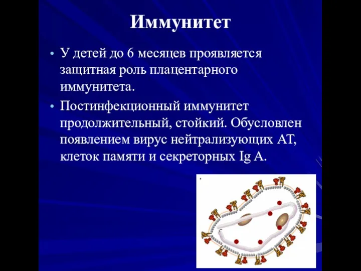 Иммунитет У детей до 6 месяцев проявляется защитная роль плацентарного иммунитета.