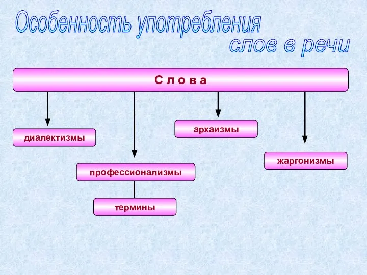 Особенность употребления слов в речи диалектизмы архаизмы С л о в а жаргонизмы