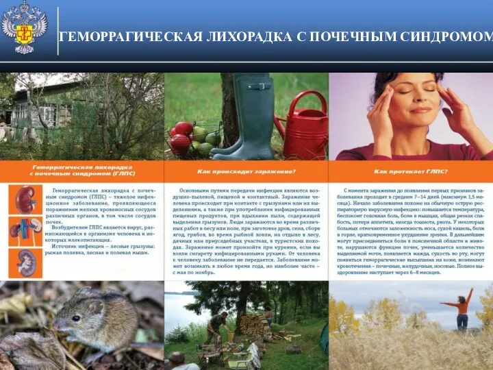 ГЕМОРРАГИЧЕСКАЯ ЛИХОРАДКА С ПОЧЕЧНЫМ СИНДРОМОМ